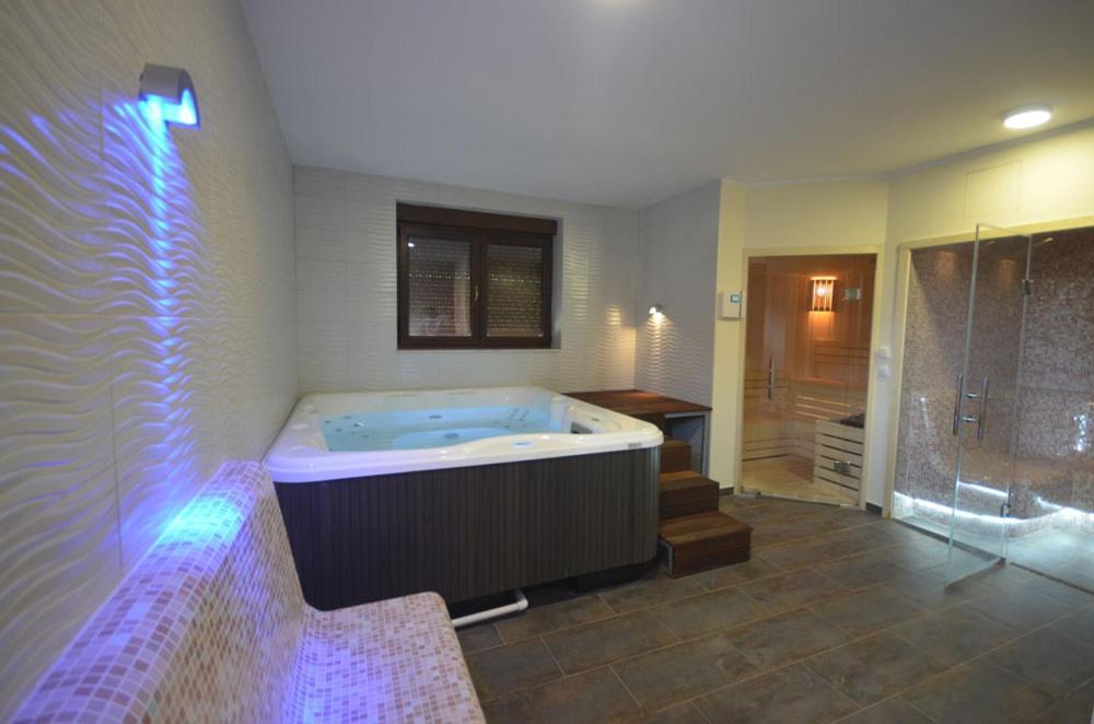 2018 I Wellness * Zlatibor